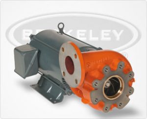 berkeley pumps