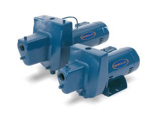 berkeley pumps