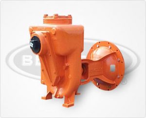 berkeley pumps